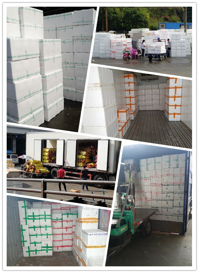 KU�Ρ�(���ݿ���)�ٷ���վ