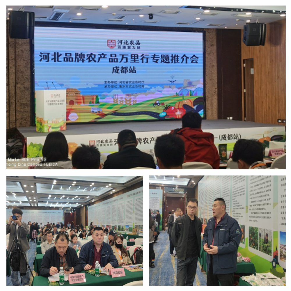 1-24102416292DM KU游·(九州酷游)官方网站