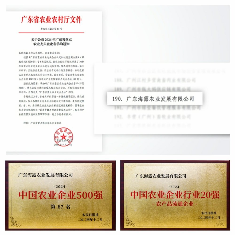 1-2506051411103H KU游·(九州酷游)官方网站